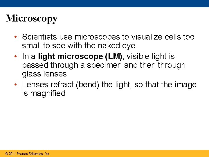 Microscopy • Scientists use microscopes to visualize cells too small to see with the