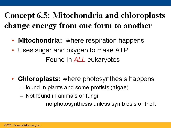 Concept 6. 5: Mitochondria and chloroplasts change energy from one form to another •