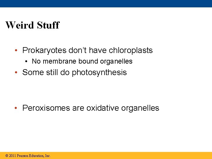 Weird Stuff • Prokaryotes don’t have chloroplasts • No membrane bound organelles • Some