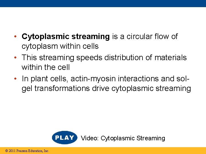 • Cytoplasmic streaming is a circular flow of cytoplasm within cells • This