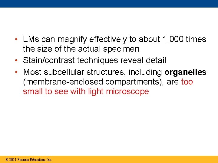  • LMs can magnify effectively to about 1, 000 times the size of