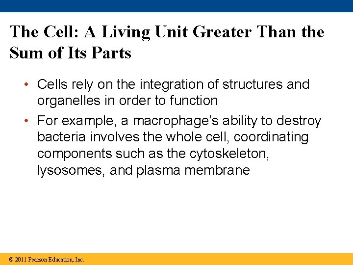 The Cell: A Living Unit Greater Than the Sum of Its Parts • Cells