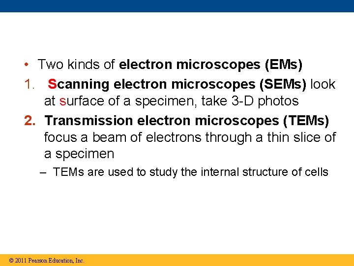  • Two kinds of electron microscopes (EMs) 1. Scanning electron microscopes (SEMs) look