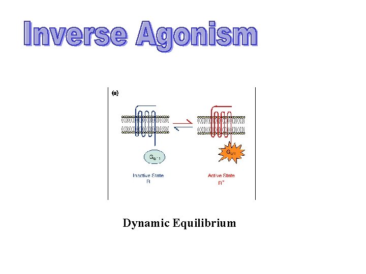 Dynamic Equilibrium Dynamic Equilibrium