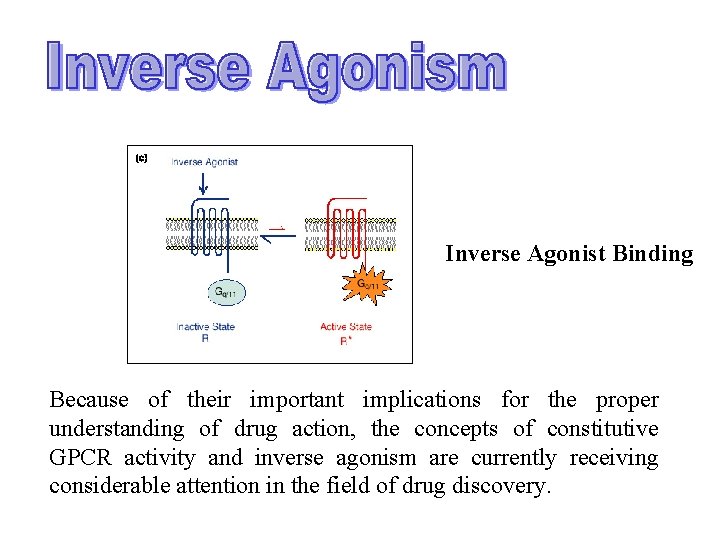 Inverse Agonist Binding Because of their important implications for the proper understanding of drug Inverse Agonist Binding Because of their important implications for the proper understanding of drug