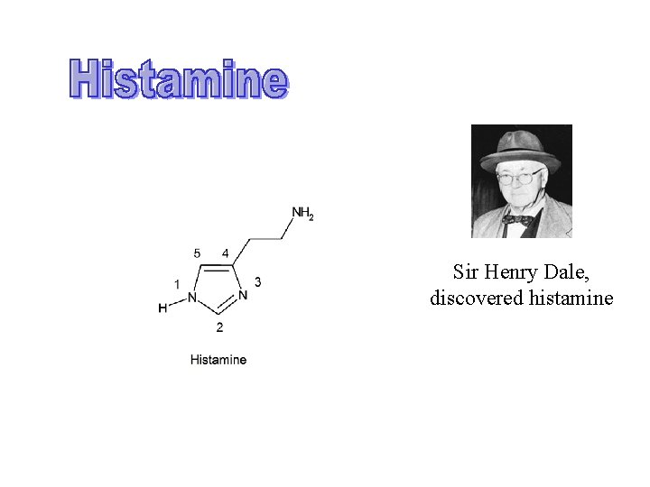 Sir Henry Dale, discovered histamine Sir Henry Dale, discovered histamine