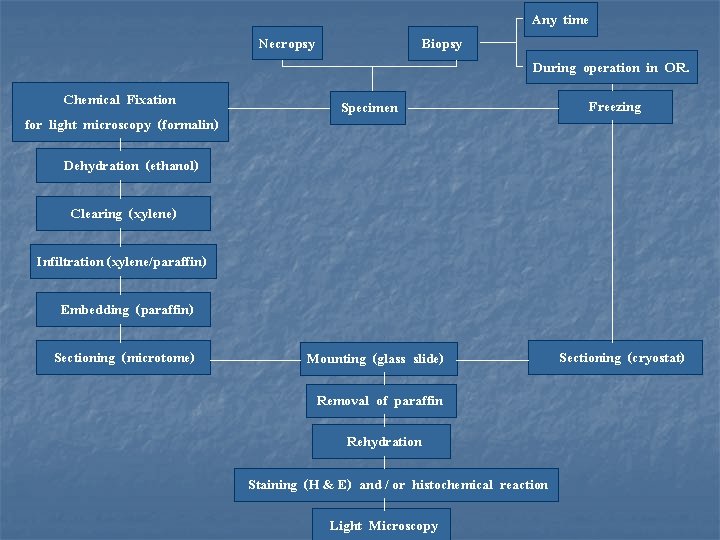 Necropsy Chemical Fixation for light microscopy (formalin) Biopsy Any time During operation in OR.