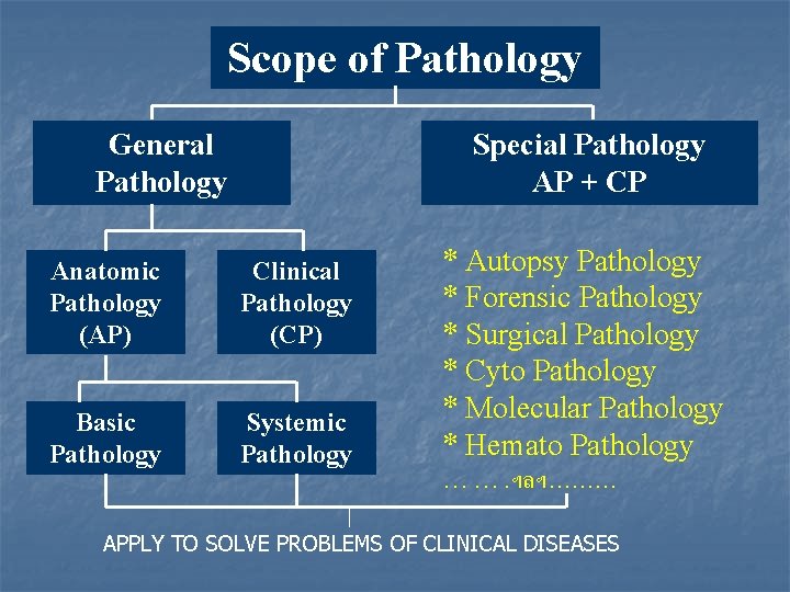Scope of Pathology General Pathology Special Pathology AP + CP Anatomic Pathology (AP) Clinical