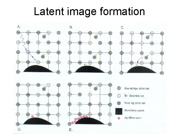 Latent image formation 