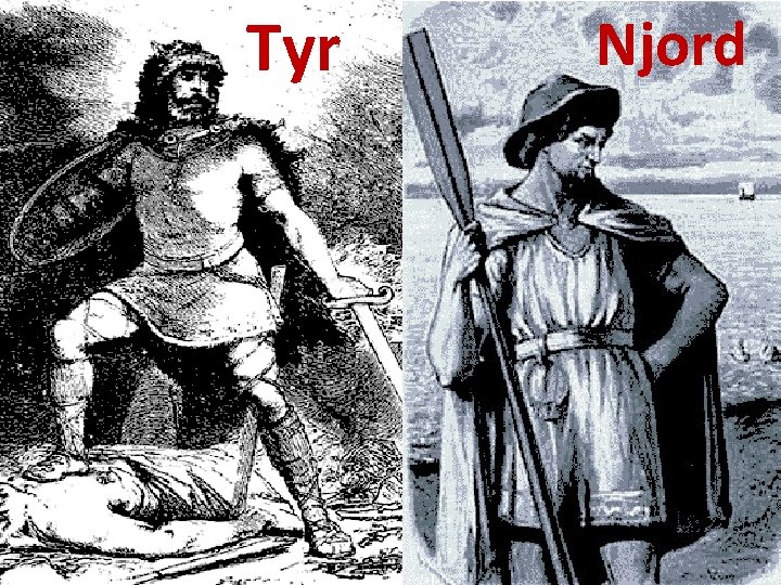 Tyr Njord 