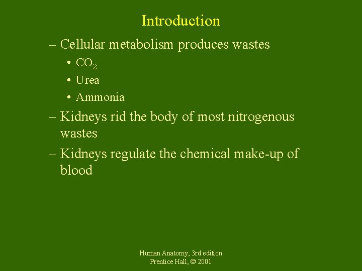 Introduction – Cellular metabolism produces wastes • CO 2 • Urea • Ammonia –