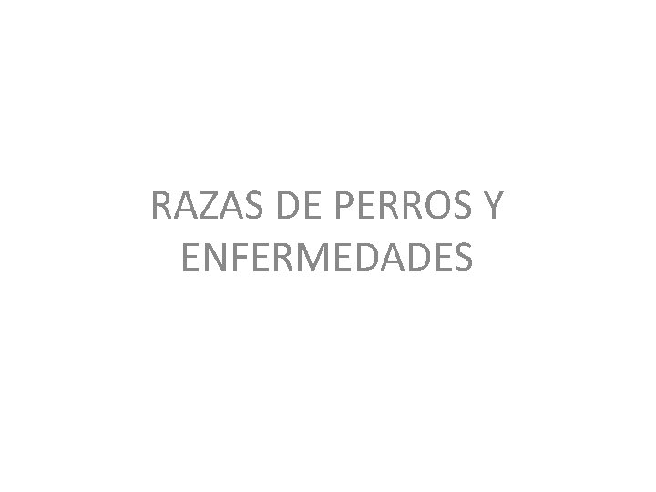 RAZAS DE PERROS Y ENFERMEDADES RAZAS DE PERROS Y ENFERMEDADES