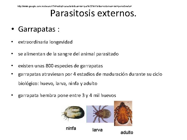 http: //www. google. com. mx/search? hl=es&q=caracteristicas+de+par%C 3%A 1 sitos+externos+del+perro&meta= Parasitosis externos. • Garrapatas : http: //www. google. com. mx/search? hl=es&q=caracteristicas+de+par%C 3%A 1 sitos+externos+del+perro&meta= Parasitosis externos. • Garrapatas :