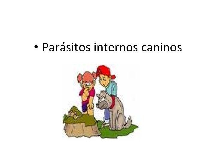 • Parásitos internos caninos • Parásitos internos caninos