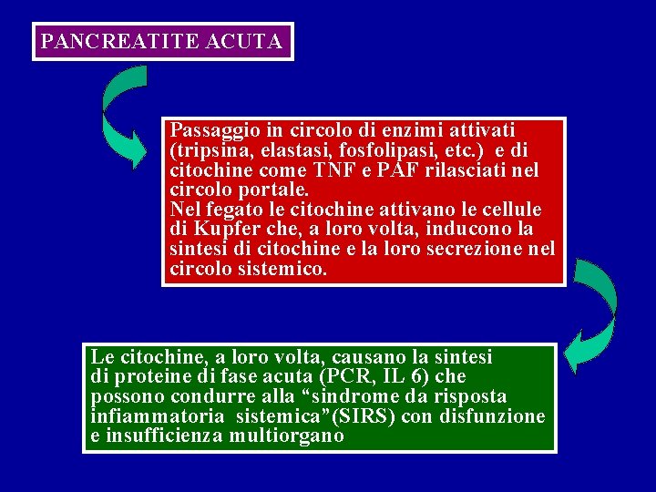 PANCREATITE ACUTA Passaggio in circolo di enzimi attivati (tripsina, elastasi, fosfolipasi, etc. ) e PANCREATITE ACUTA Passaggio in circolo di enzimi attivati (tripsina, elastasi, fosfolipasi, etc. ) e