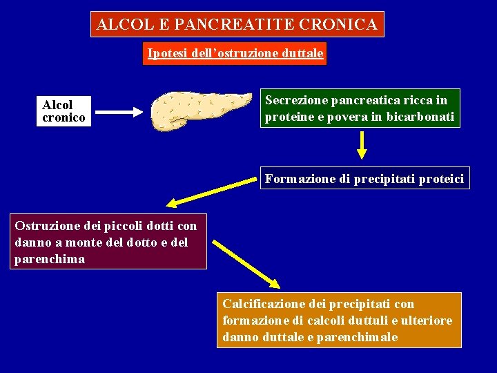 ALCOL E PANCREATITE CRONICA Ipotesi dell’ostruzione duttale Alcol cronico Secrezione pancreatica ricca in proteine ALCOL E PANCREATITE CRONICA Ipotesi dell’ostruzione duttale Alcol cronico Secrezione pancreatica ricca in proteine