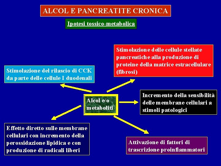 ALCOL E PANCREATITE CRONICA Ipotesi tossico-metabolica Stimolazione del rilascio di CCK da parte delle ALCOL E PANCREATITE CRONICA Ipotesi tossico-metabolica Stimolazione del rilascio di CCK da parte delle