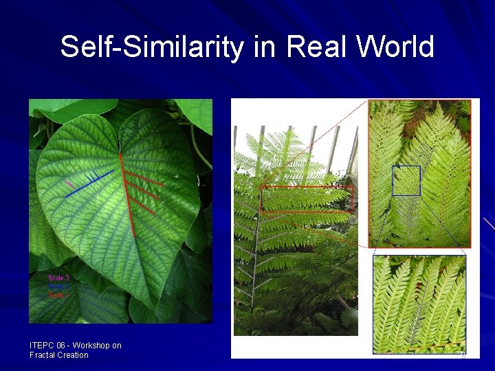 Self-Similarity in Real World ITEPC 06 - Workshop on Fractal Creation 8 
