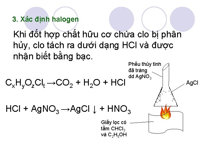 3. Xác định halogen Khi đốt hợp chất hữu cơ chứa clo bị phân 3. Xác định halogen Khi đốt hợp chất hữu cơ chứa clo bị phân