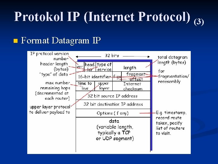 Protokol IP (Internet Protocol) (3) n Format Datagram IP 