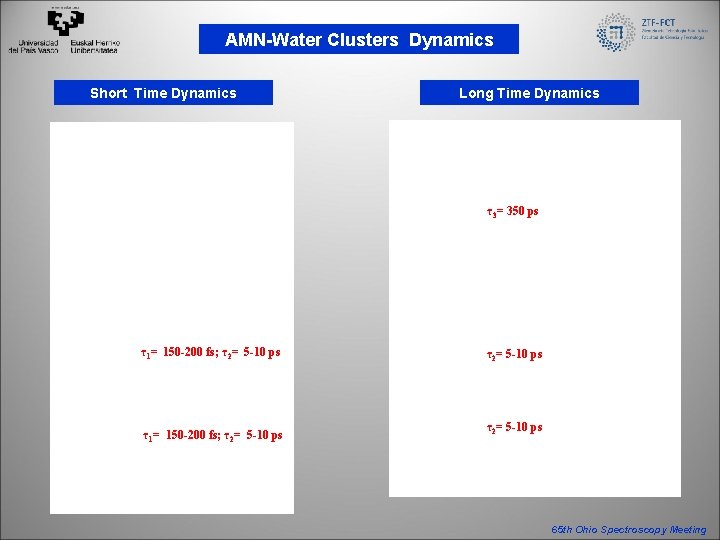 AMN-Water Clusters Dynamics Short Time Dynamics Long Time Dynamics τ3= 350 ps τ1= 150