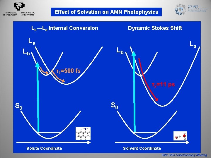 Effect of Solvation on AMN Photophysics Dynamic Stokes Shift Lb→La Internal Conversion La La