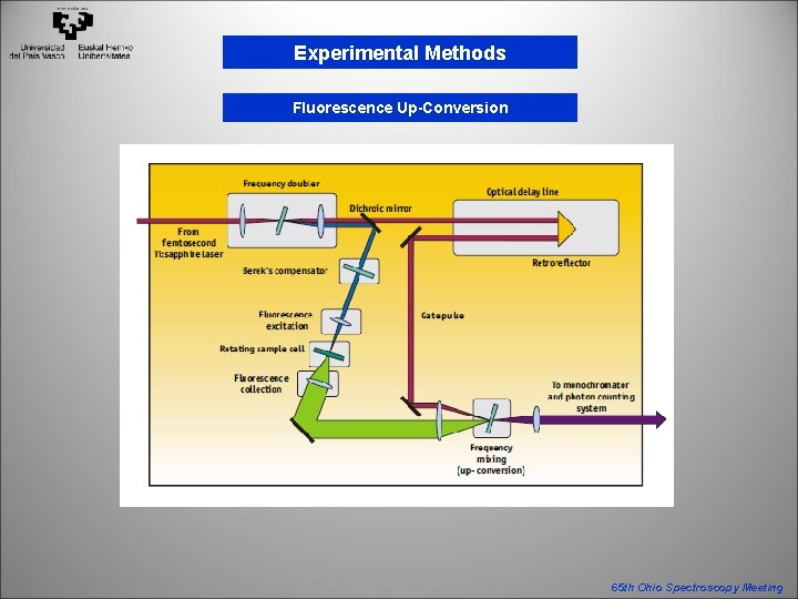 Experimental Methods Fluorescence Up-Conversion 65 th Ohio Spectroscopy Meeting 