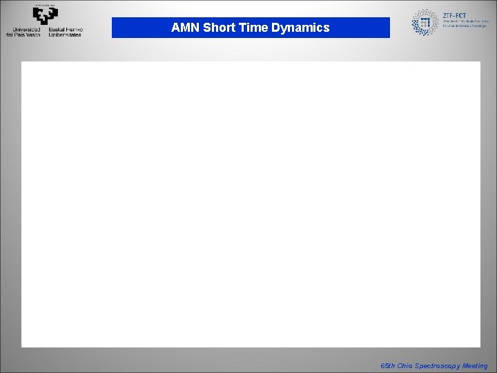 AMN Short Time Dynamics 65 th Ohio Spectroscopy Meeting 
