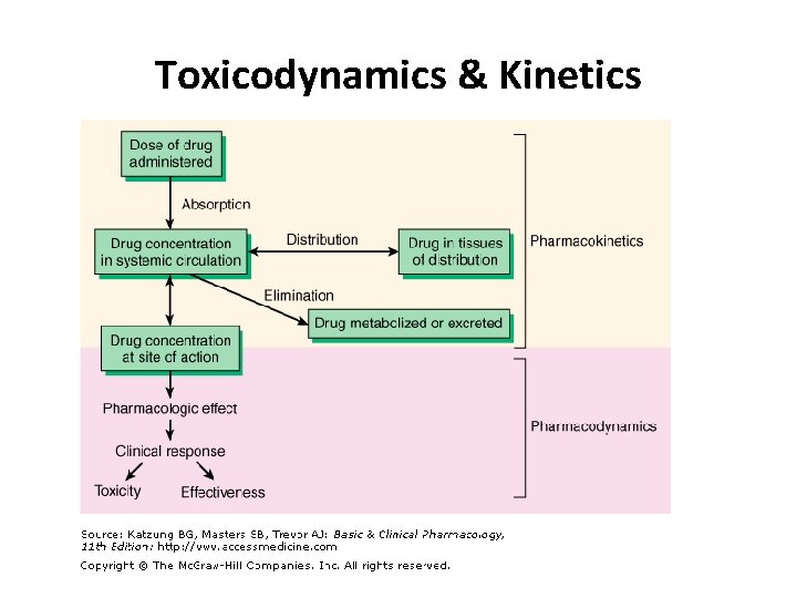 Toxicodynamics & Kinetics 