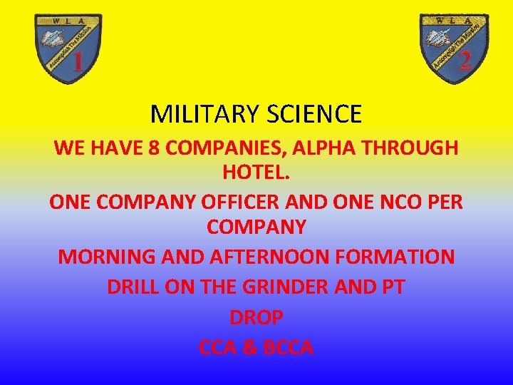 MILITARY SCIENCE WE HAVE 8 COMPANIES, ALPHA THROUGH HOTEL. ONE COMPANY OFFICER AND ONE