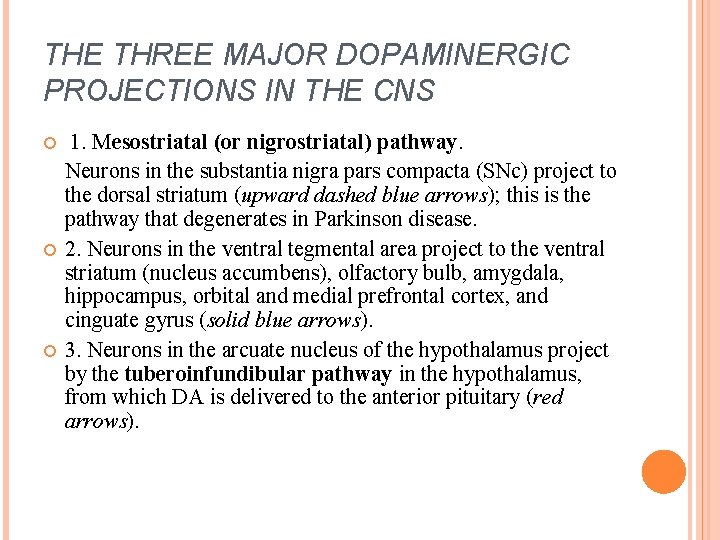 THE THREE MAJOR DOPAMINERGIC PROJECTIONS IN THE CNS 1. Mesostriatal (or nigrostriatal) pathway. Neurons THE THREE MAJOR DOPAMINERGIC PROJECTIONS IN THE CNS 1. Mesostriatal (or nigrostriatal) pathway. Neurons