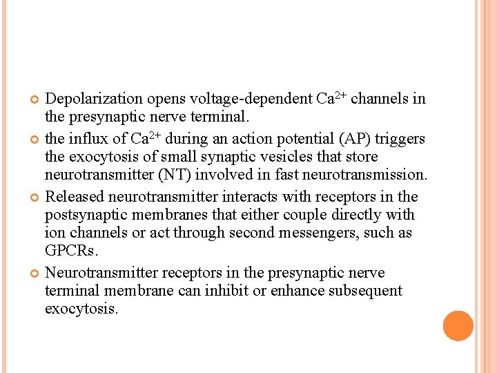 Depolarization opens voltage-dependent Ca 2+ channels in the presynaptic nerve terminal. the influx of Depolarization opens voltage-dependent Ca 2+ channels in the presynaptic nerve terminal. the influx of
