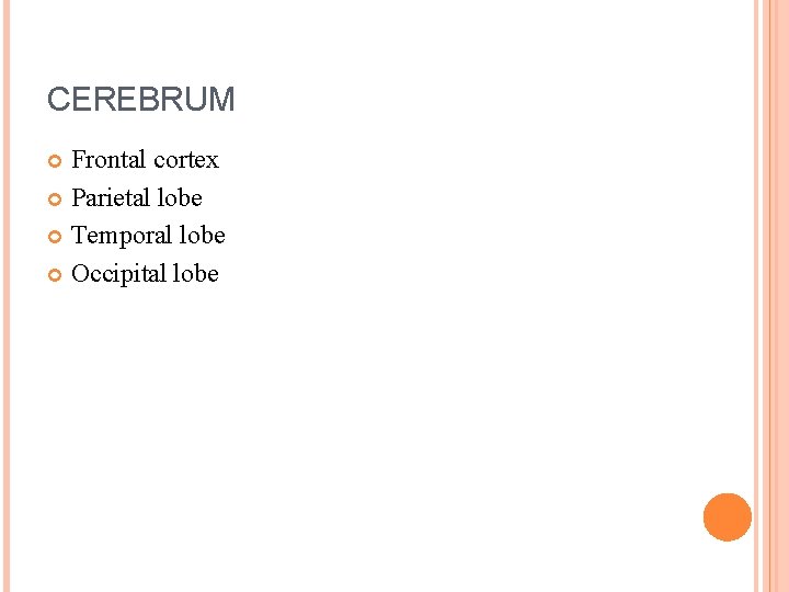 CEREBRUM Frontal cortex Parietal lobe Temporal lobe Occipital lobe CEREBRUM Frontal cortex Parietal lobe Temporal lobe Occipital lobe