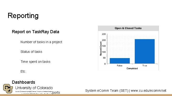 Reporting Report on Task. Ray Data Number of tasks in a project Status of