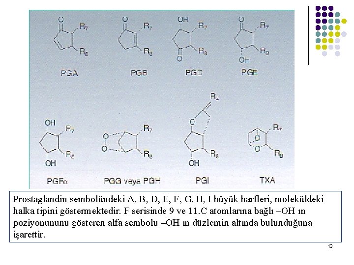 Prostaglandin sembolündeki A, B, D, E, F, G, H, I büyük harfleri, moleküldeki halka