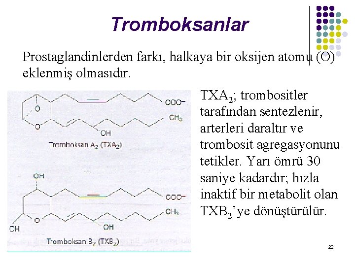 Tromboksanlar Prostaglandinlerden farkı, halkaya bir oksijen atomu (O) eklenmiş olmasıdır. TXA 2; trombositler tarafından