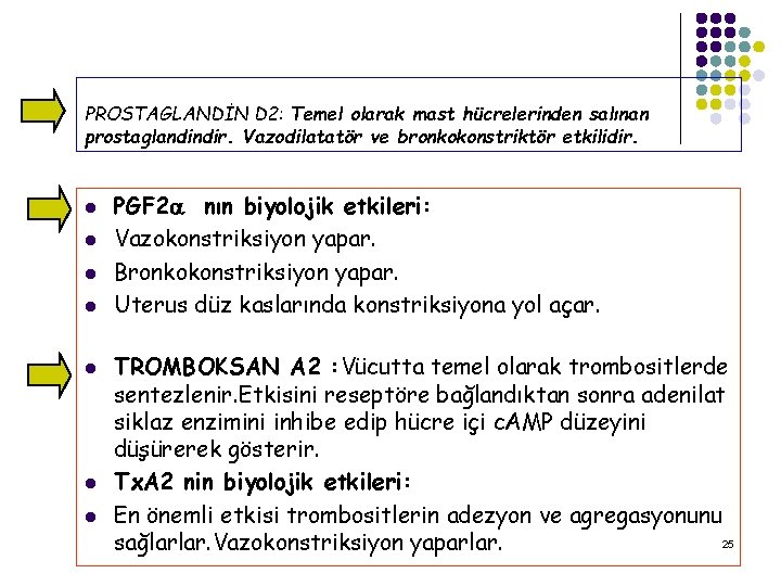 PROSTAGLANDİN D 2: Temel olarak mast hücrelerinden salınan prostaglandindir. Vazodilatatör ve bronkokonstriktör etkilidir. l