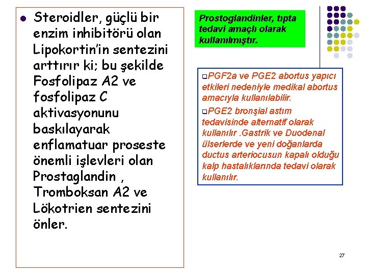 l Steroidler, güçlü bir enzim inhibitörü olan Lipokortin’in sentezini arttırır ki; bu şekilde Fosfolipaz