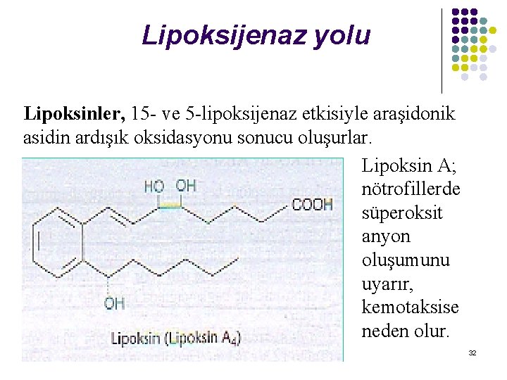 Lipoksijenaz yolu Lipoksinler, 15 - ve 5 -lipoksijenaz etkisiyle araşidonik asidin ardışık oksidasyonu sonucu
