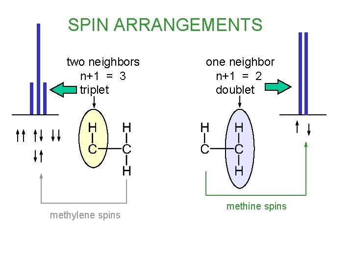 SPIN ARRANGEMENTS two neighbors n+1 = 3 triplet methylene spins one neighbor n+1 =