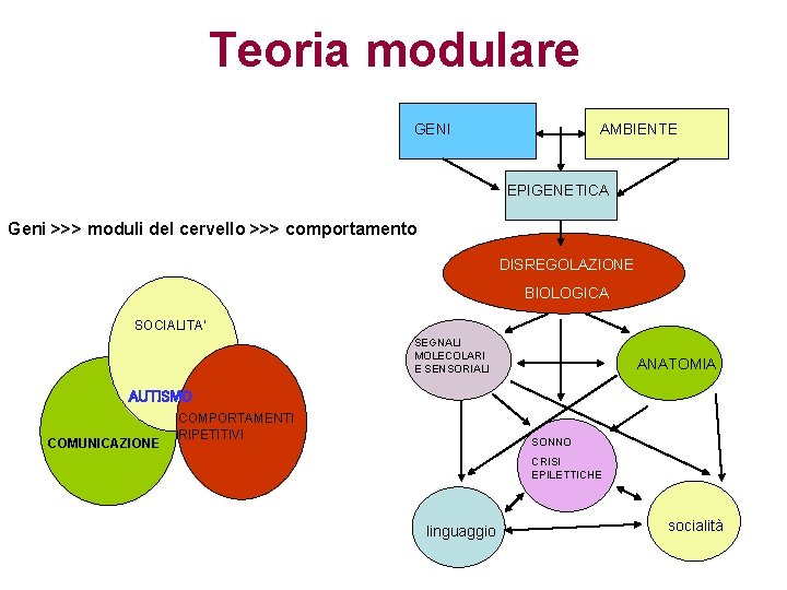 Teoria modulare GENI AMBIENTE EPIGENETICA Geni >>> moduli del cervello >>> comportamento DISREGOLAZIONE BIOLOGICA
