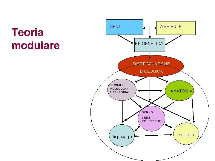 Teoria modulare GENI AMBIENTE EPIGENETICA DISREGOLAZIONE BIOLOGICA SEGNALI MOLECOLARI E SENSORIALI ANATOMIA SONNO CRISI