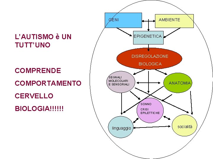 GENI L’AUTISMO è UN TUTT’UNO AMBIENTE EPIGENETICA DISREGOLAZIONE BIOLOGICA COMPRENDE COMPORTAMENTO SEGNALI MOLECOLARI E