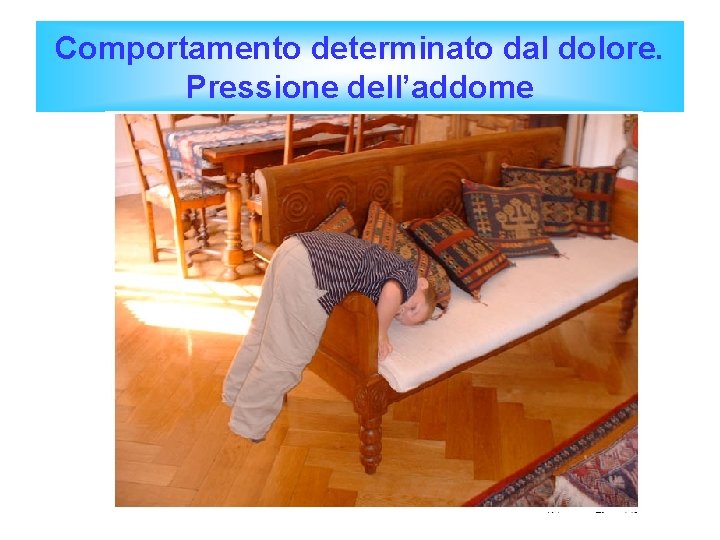 Comportamento determinato dal dolore. Pressione dell’addome 