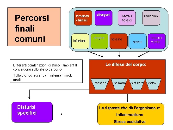 Percorsi finali comuni Prodotti chimici infezioni Differenti combinazioni di stimoli ambientali convergono sullo steso