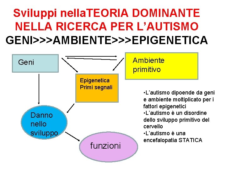 Sviluppi nella. TEORIA DOMINANTE NELLA RICERCA PER L’AUTISMO GENI>>>AMBIENTE>>>EPIGENETICA Ambiente primitivo Geni Epigenetica Primi