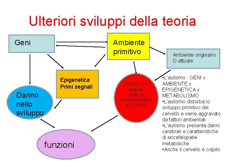 Ulteriori sviluppi della teoria Geni Ambiente primitivo Epigenetica Primi segnali Danno nello sviluppo funzioni