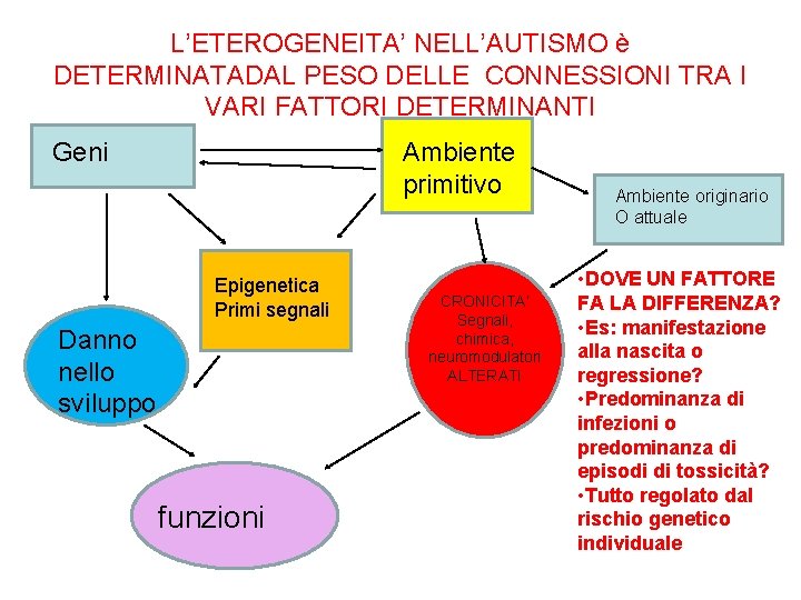 L’ETEROGENEITA’ NELL’AUTISMO è DETERMINATADAL PESO DELLE CONNESSIONI TRA I VARI FATTORI DETERMINANTI Geni Ambiente