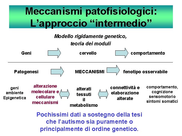Meccanismi patofisiologici: L’approccio “intermedio” Modello rigidamente genetico, teoria dei moduli Geni cervello Patogenesi geni