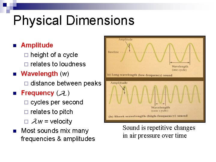 Physical Dimensions n n Amplitude ¨ height of a cycle ¨ relates to loudness